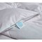 Martha Stewart White Goose Down & Feather Comforter, White, Twin MS006544 - alternate 2